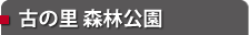 古の里 森林公園