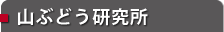 山ぶどう研究所