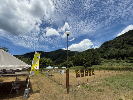 Asahiドッグラン写真